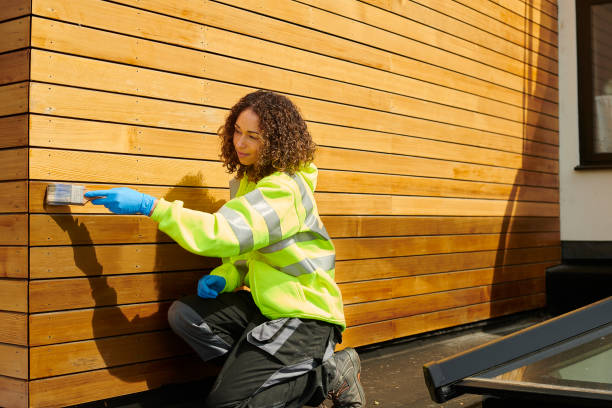 Best Stucco Siding  in Diamond Ridge, AK