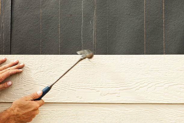 Best Custom Siding Design  in Diamond Ridge, AK